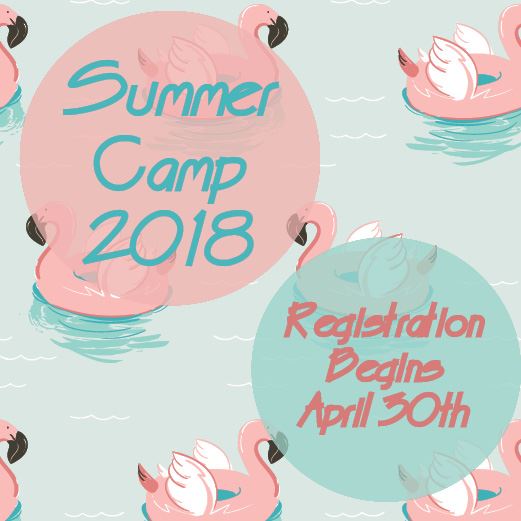 Summer Camp 2018 News