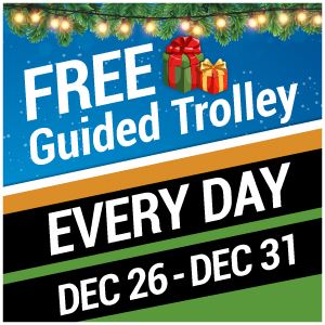 Holiday Trolley 2019 Flyer