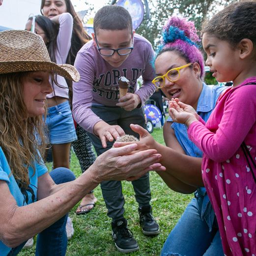 Homestead Eco Fair 2020 Event Photo