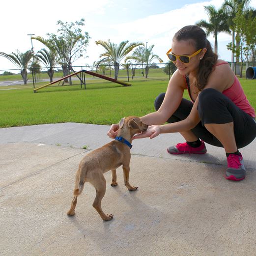 Girl at Park with Dog