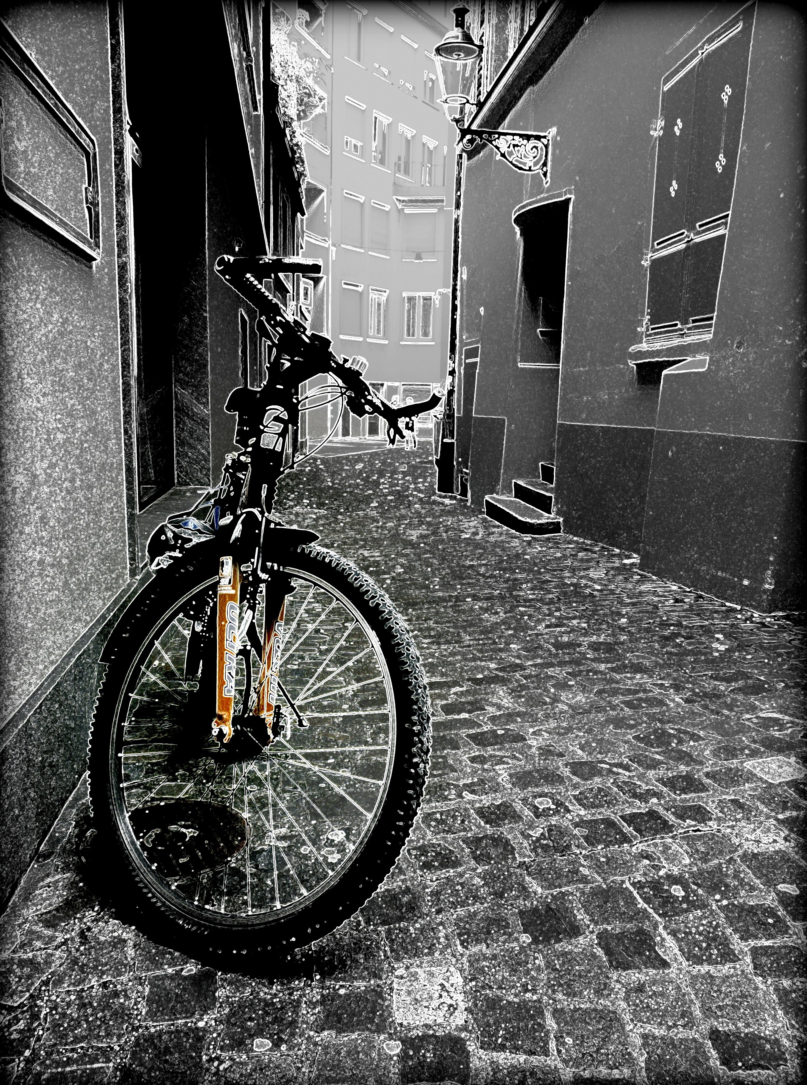 Teresa Slomko Ride Home